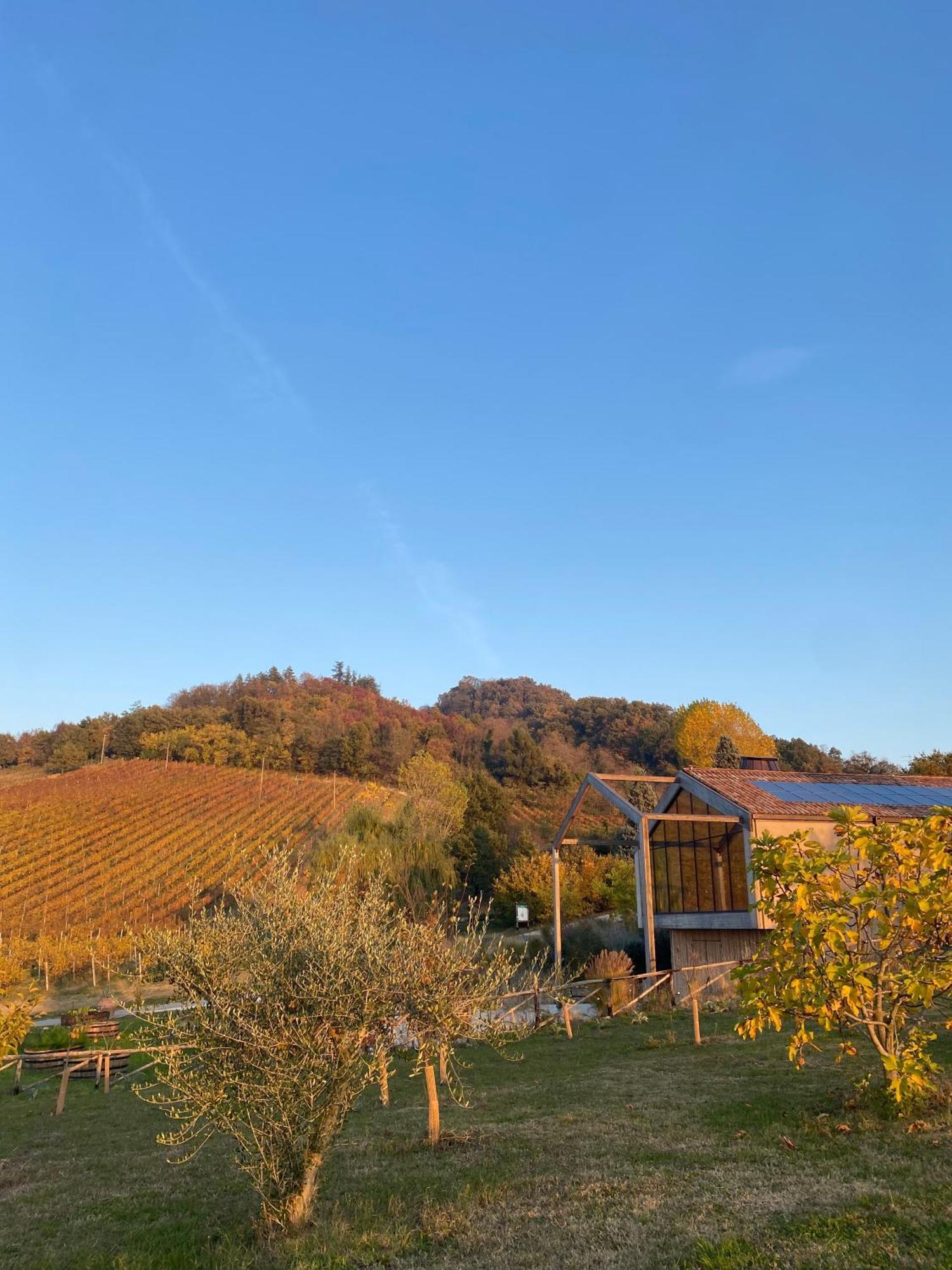 Corte D'Aibo Monteveglio Exterior photo